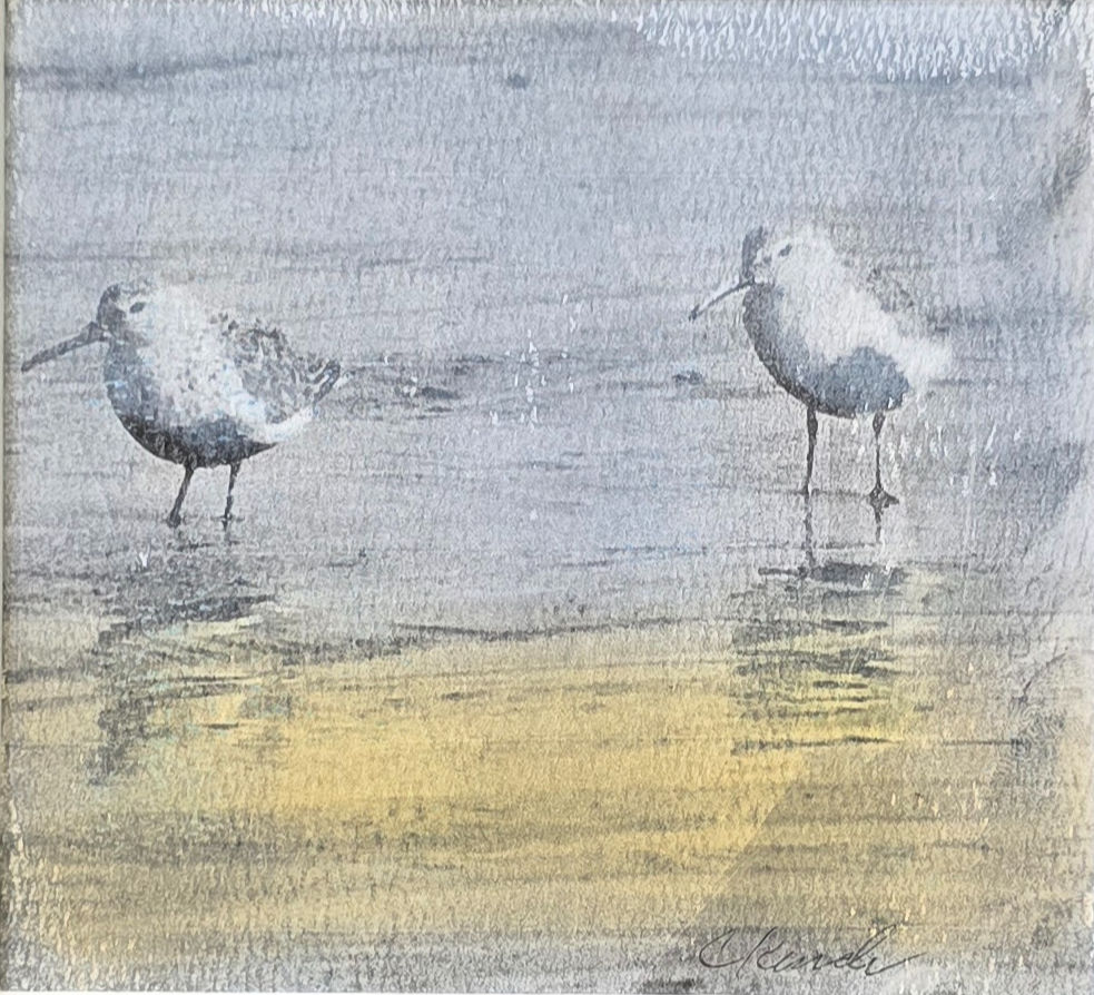 Quiet Tides