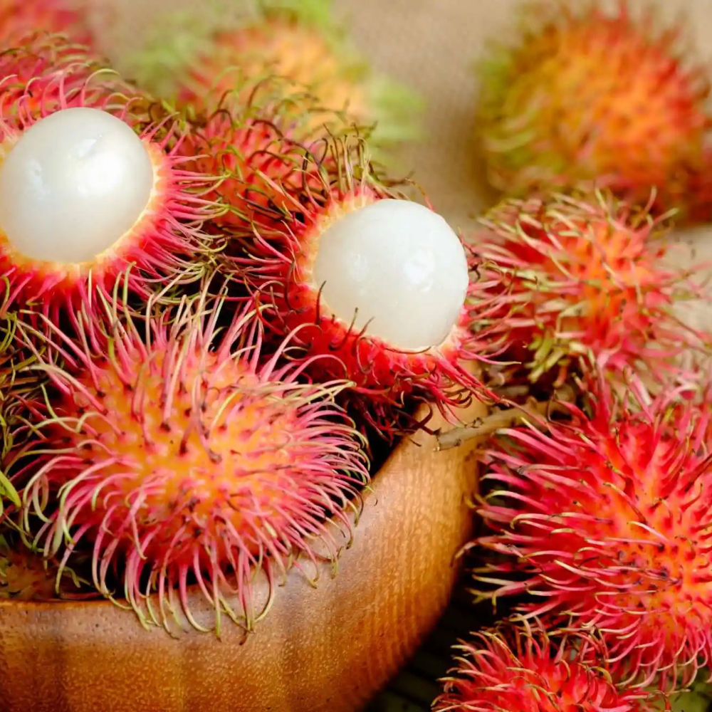 Rambutan