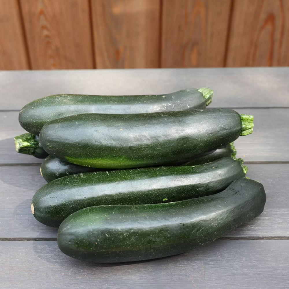 Courgette