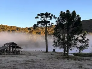 Prepare-se para a alta temporada em Monte Verde: dicas para planejar sua viagem perfeita