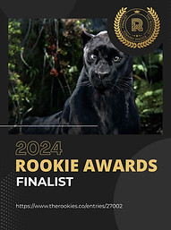 Rookie Awards 2024 - 3D Animation - Film