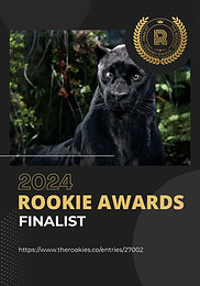 Rookie Awards 2024 - 3D Animation - Film