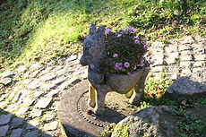 IMG_2539.JPG