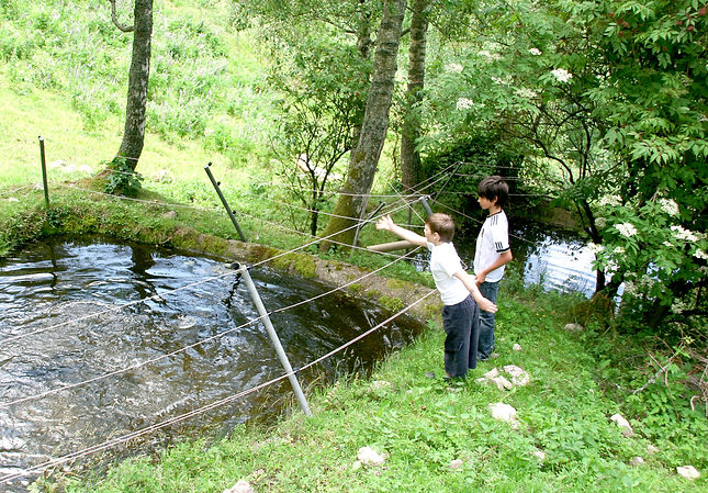 Fischteiche.JPG