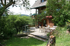 Hof und Hund.JPG