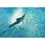 Thumbnail: Wii - Reel Fishing Anglers Dream
