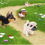 थंबनेल: Petz Dogz 2 - Nintendo Wii (Renewed)