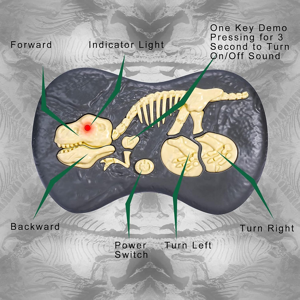 Miniaturbild: Remote Control Dinosaur Jurassic T Rex Toys for Boys Electronic RC Spray Raptor