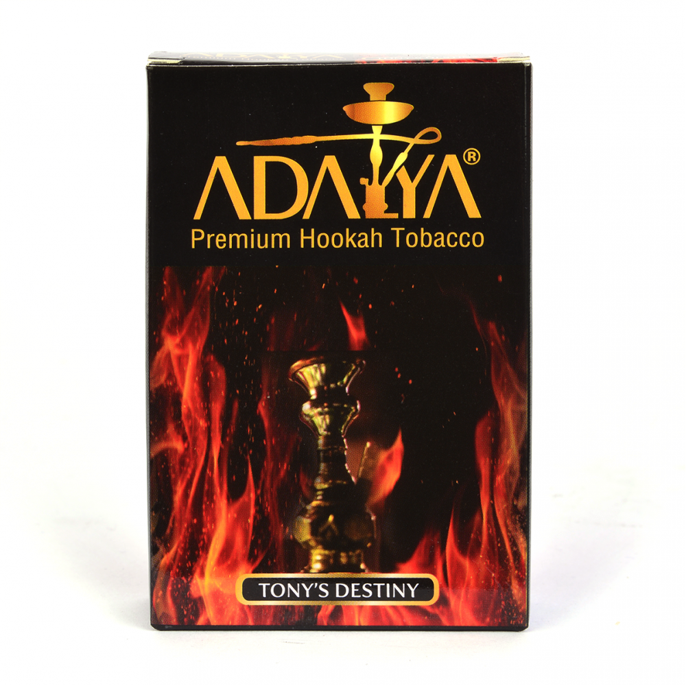 ADALYA TONY'S DESTINY/ СУДЬБА ТОНИ