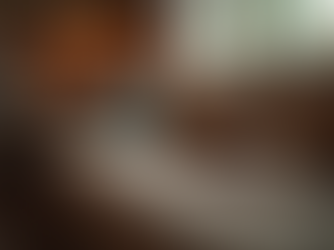 Exploring Our Favorite Reads at Mostly Waynewood