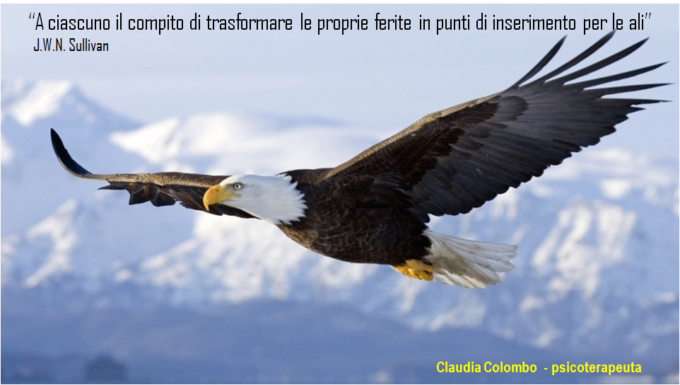 aquila che vola in cielo con frase di Sullivan