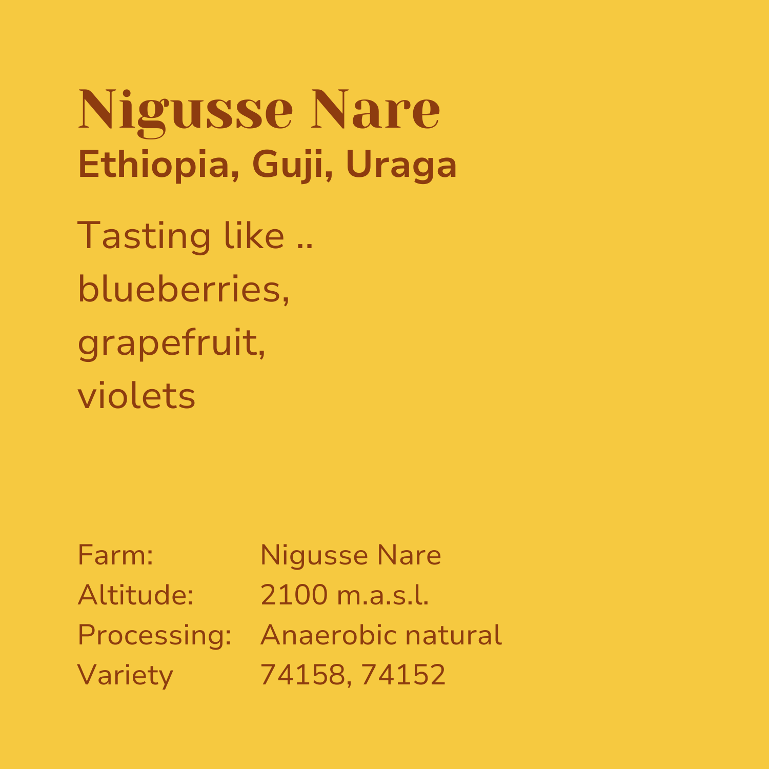 Ethiopia - Nigusse Nare
