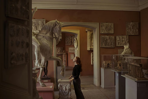 myCULTURE offers many options for galleries.jpg