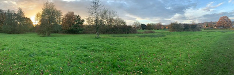 Meadow