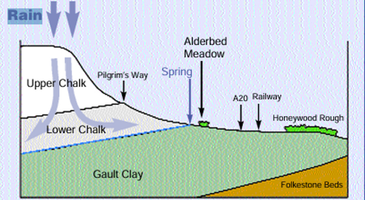 Spring formation