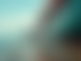 Servicios especializados de abogados maritimistas en Guatemala: expertos en derecho marítimo