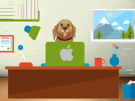 Graphic Design, Website Building, Digital Marketing Services and Content Writing for your business. 