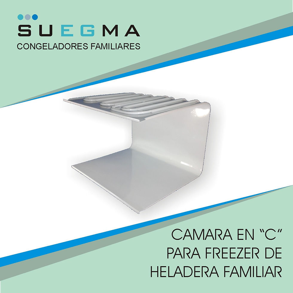 CAMARA EN C