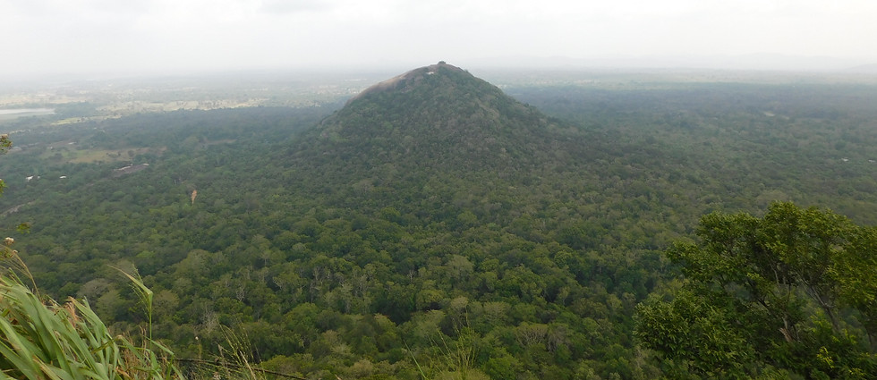 Sri Lanka, Blick vom Sigiriya Felsen