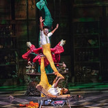 Cena Show Cirque du Solei,  JOYÀ