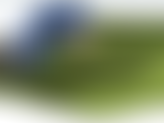 SHIPPING CONTAINER TINY HOME