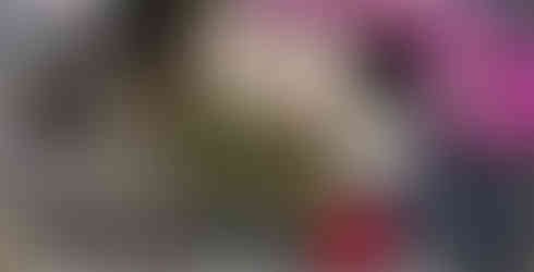 Client pic when they arrived at FS Maui for honeymoon, welcome amenities, free room upgrade