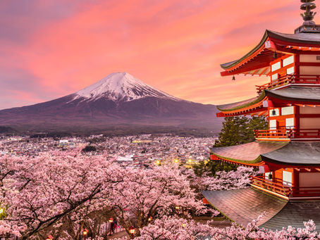 Flower Power: Must-See Spring Blooms