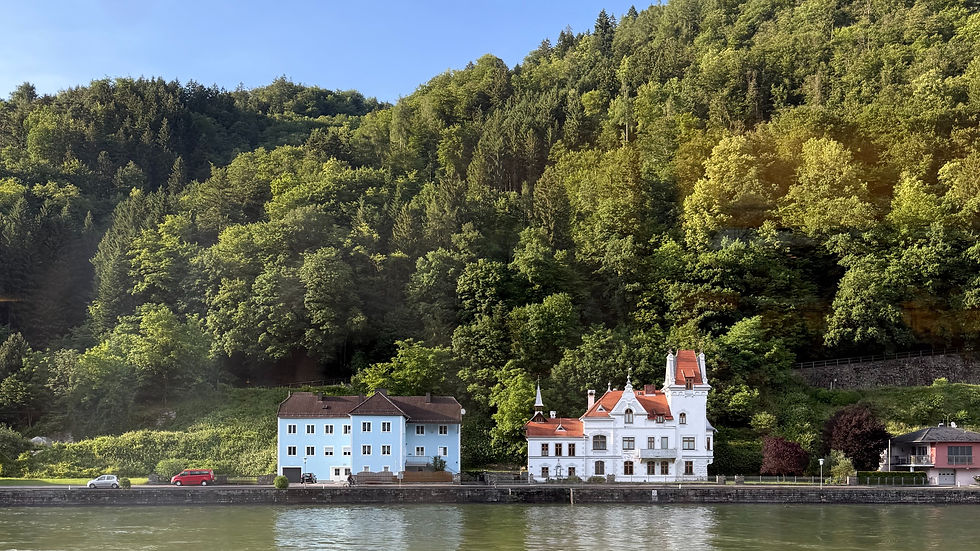 Scenic view from a Viking River Cruise sailing down the Danube River, passing by historic European villages, houses, and rolling green hills on the riverbank.
