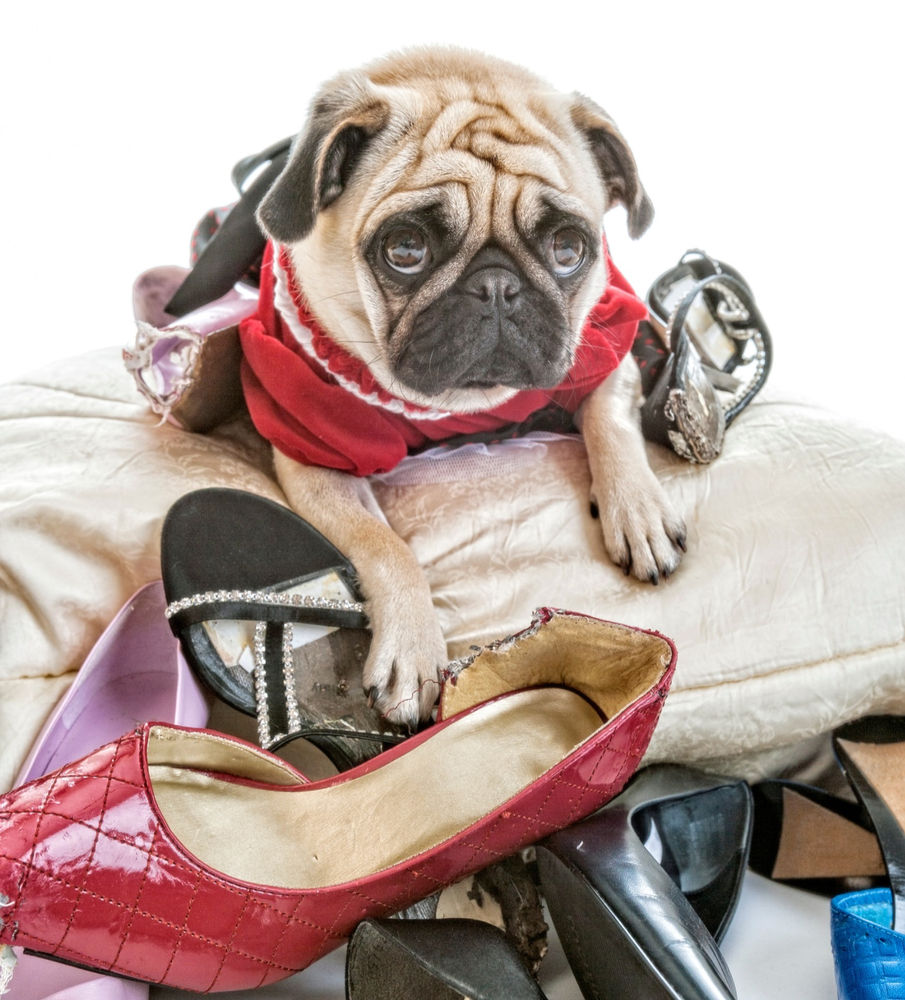 Can My Shoes Be Repaired? Can My Shoes Be Repaired?