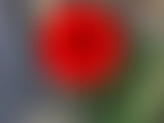 Junior Church Padlet page 19th July, 2020