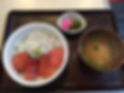 釜揚げしらすとみなみまぐろ漬け丼.jpeg