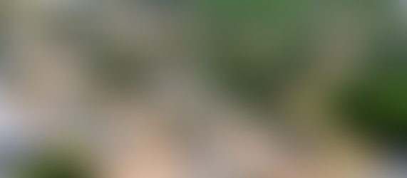 Aerial view of a Texas RV park showing gravel pads, mature oak trees, and dirt road circulation — illustrating low-density site layout and rural development standards.