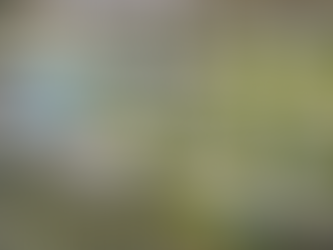 ChatGPT said: Aerial view of a modern RV park with concrete pads, palm-thatched shade structures, and a large resort-style pool and splash pad.