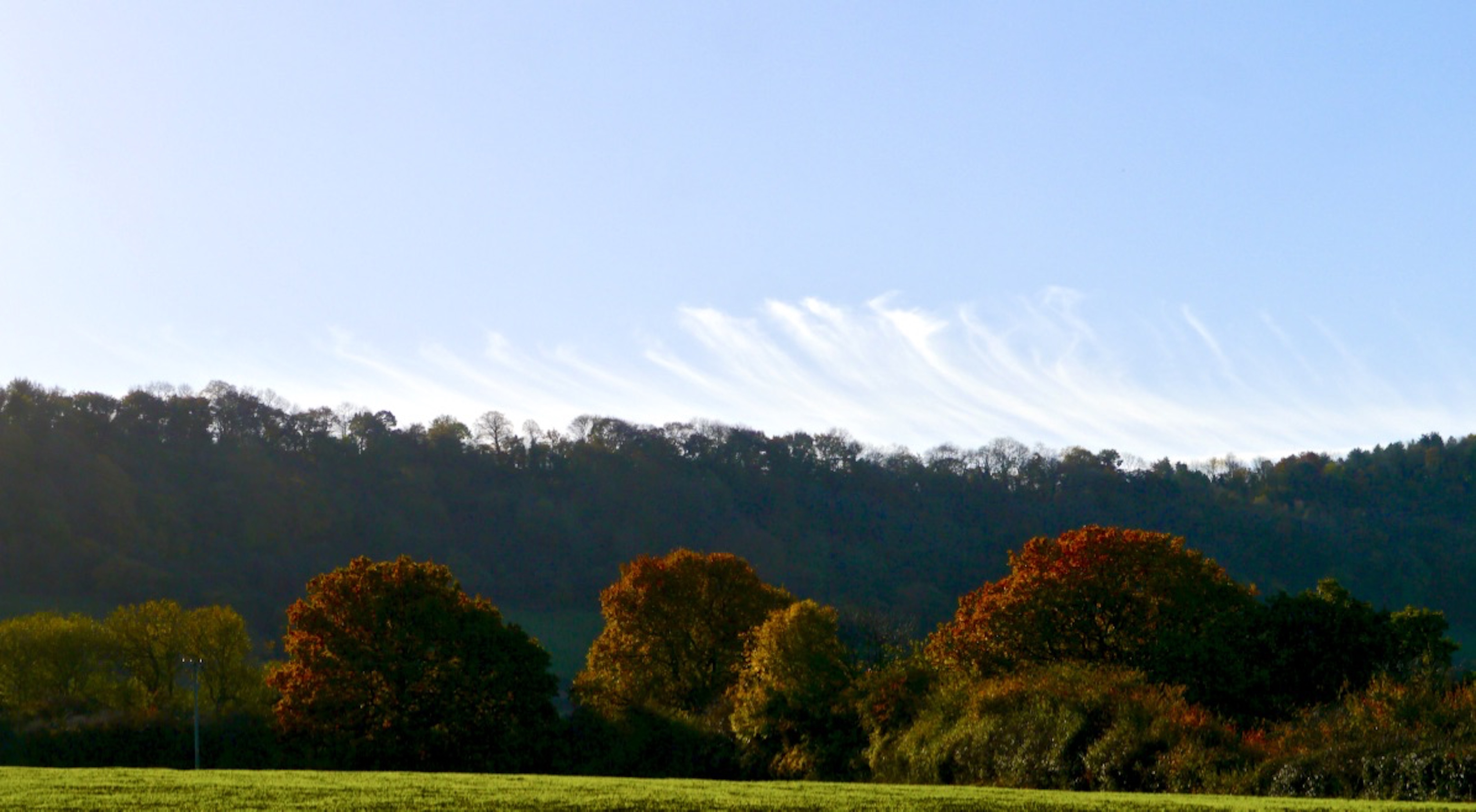 Autumn_Colour_Wenlock_Edge_©_Maria_Nunzia__Varvera_