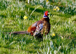 A80uTcdVR8WaJQyTbHSKAw_thumb_ac6c