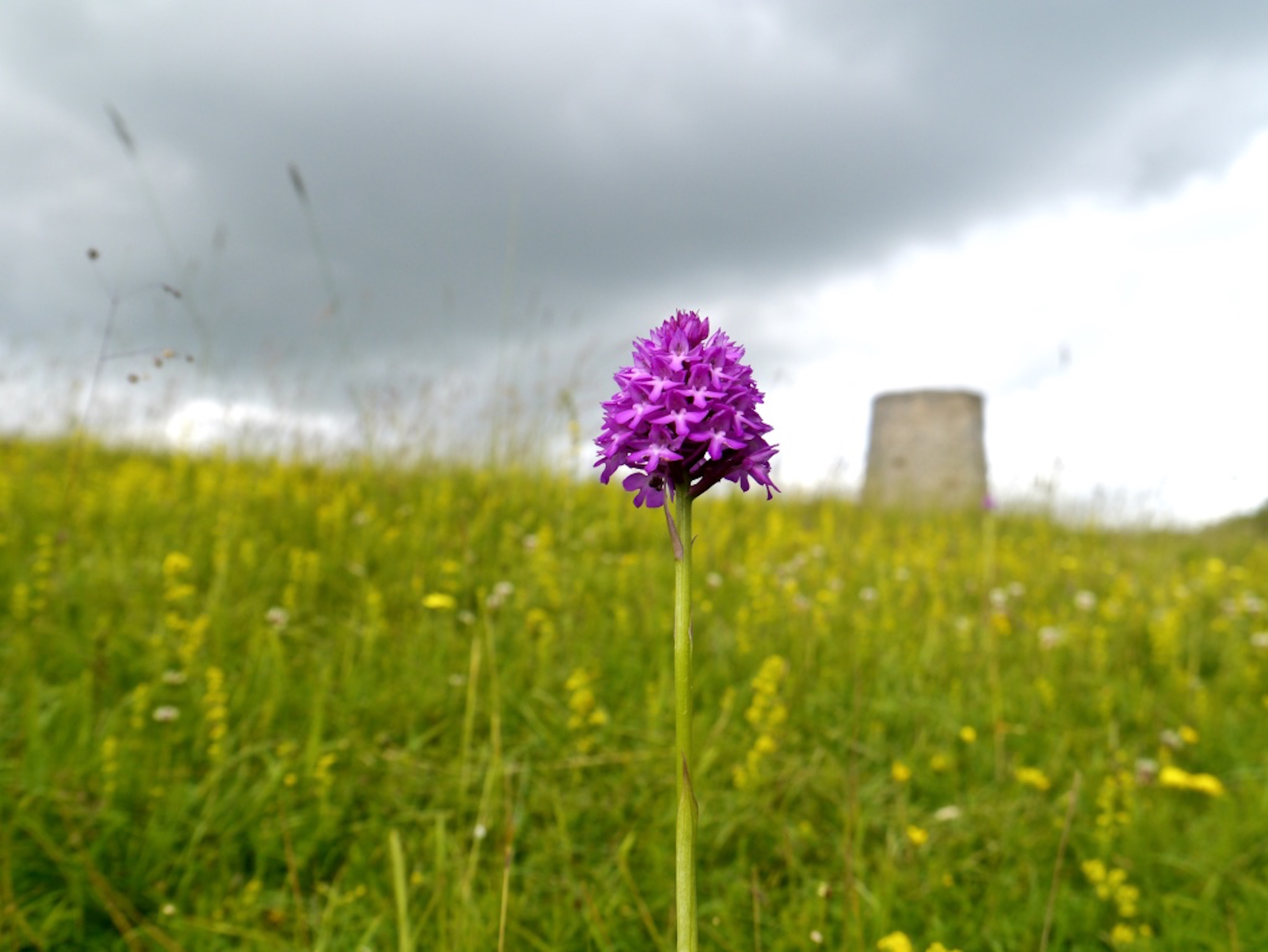 Windmill_Hill_©_Maria_Nunzia__Varvera_