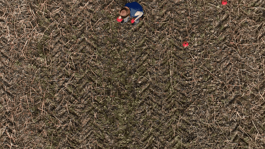 CLIP-51-GIF-01.gif