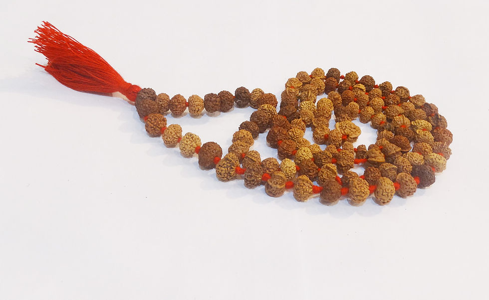 Ganesh Mukhi Rudraksha Mala - Premium 1