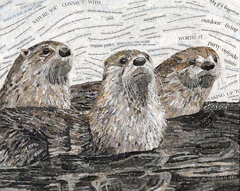 Collage of otters