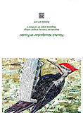 Pileated Woodpecker.jpg