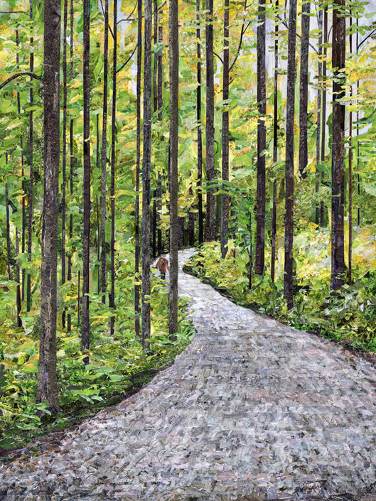 Collage of person walking in Chapin Forest