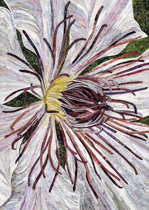 collage of a close up clematis