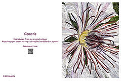 Clematis.jpg