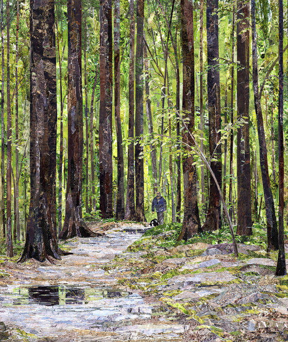 Collage of man walking in woods after rain