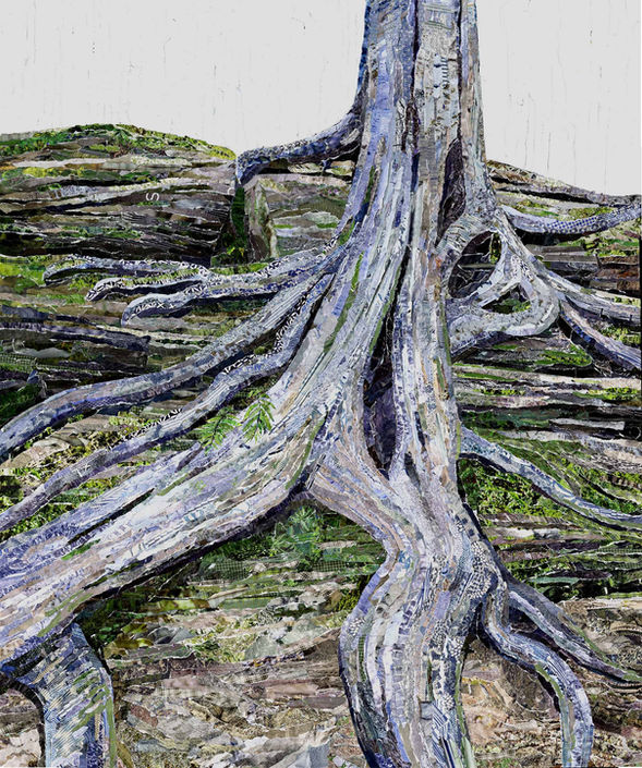Collage of tree growing on rocks