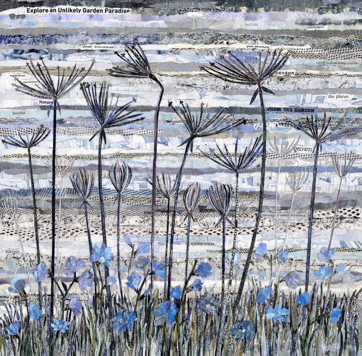 collage of chicory
