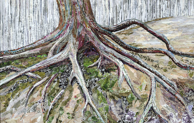 Collage of tree roots