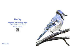 Blue Jay Card 2.jpg