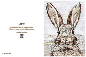 Lepus.jpg