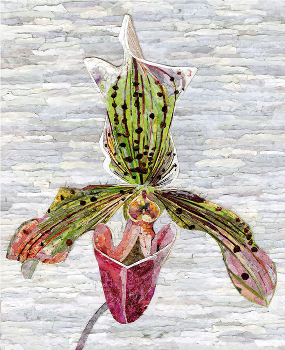 Collage of orchid